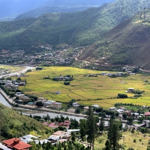 App����Ȧ�����͵Ĳ������� ��Ҋ֮һ