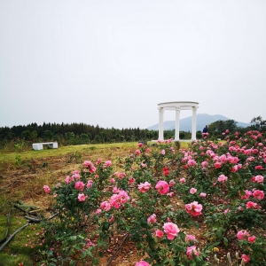 ��^(q��)�W(w��ng)�ѷ������]��õ��С�(zh��n)̽��