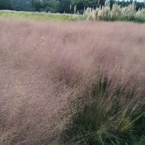 APP�W(w��ng)�����η�����һ��Ƭ�W(w��ng)�t����y�Ӳ�