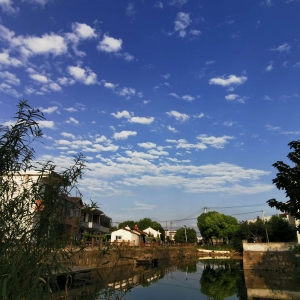 ��^(q��)�W(w��ng)�ѷ�����ż�����ĵ��ÿ����L(f��ng)��