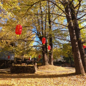 APP����Ȧ����һ�N����ֻ���o��