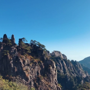 APP����Ȧ���ƺ�����һ��ˮī��