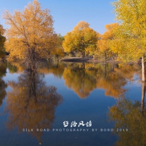 ��^(q��)�W(w��ng)�ѷ������z·�L(f��ng)�� �߲ʵ�ϼ