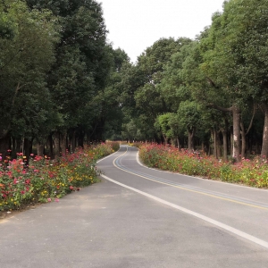 ��ꖾW(w��ng)APP�W(w��ng)���S�� �������\����G��