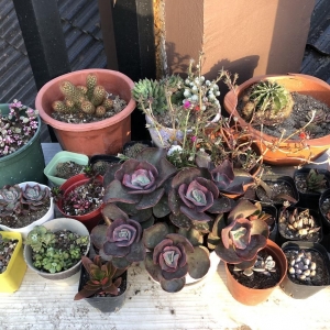 ��^(q��)�W(w��ng)�ш@ˇƪ������ ¶�_(t��i)�ϵĶ������ȇ}