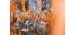 ��������{��ײɫ��Y �@���ǐ��������Ę���