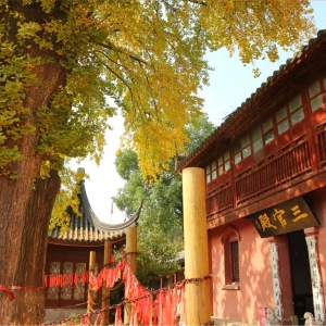 ��^(q��)�W(w��ng)�ѷ�����������^ �����^������