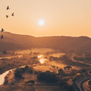 ��(y��u)�|(zh��)�W(w��ng)�єzӰ��Ʒ��������ɽ�� �L(f��ng)��󻨈@