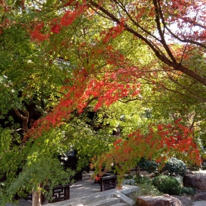 ��ꖾW(w��ng)APP���������S���t��� �Ҍ������ɫ