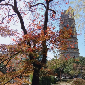 ��ꖾW(w��ng)APP�������] �Ž����