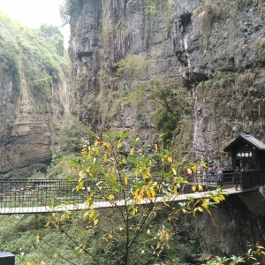 �W(w��ng)��·;��������ʩ��{���ٲ�