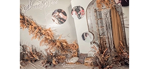 ������˺��sϵ��Y ������ҫ��ʹ��Ŀ��o��ͣ��