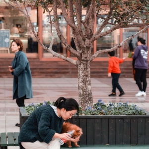 ���|�zӰ��Ʒ��������ɽ���@ ��Ʒ����