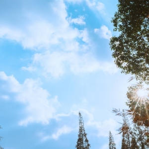 ��^(q��)�zӰ�� �����������S���ďR