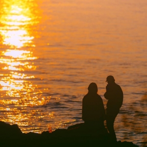 �zӰ�����Ĕz���S���@�������{�{ ��������