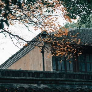 �zӰ��W�Ѷ��������S����Ʒ Ī���w��