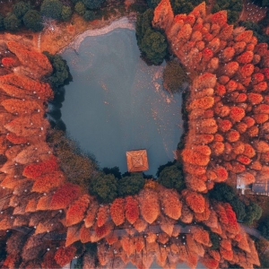 �W(w��ng)�єzӰ�����������Sɽ���Ķ���