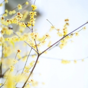 APP�W(w��ng)�ѷ�����Ʒ��Ը������� ���g�԰�