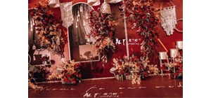 ������˼tɫϵ��Y ���h(yu��n)�Ъ�(d��)�ص�����