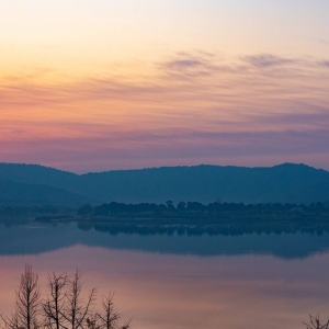 ��^(q��)�W(w��ng)�є�ɽ��ץ������ �ߘ����M�@���A