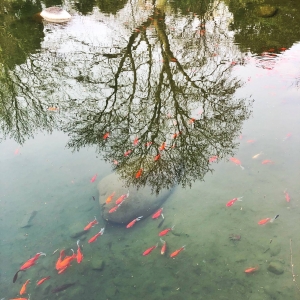 ����Ȧ�W(w��ng)���S����Ʒ���� �����е���ɽ���@