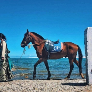 ��^�W���Дz���� ˮ��һɫ�Ī�������