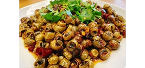 ���������r���Ļ�鶼���R�� ���ֳԴ�����