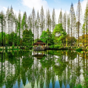 APP�������Sɽ�������D �Ƀ�͸�ص���