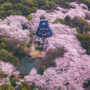 �zӰ�����˴������� �����x�^侙ѻ���