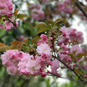 APP�W(w��ng)�����D�������]��һ���y�Î�����