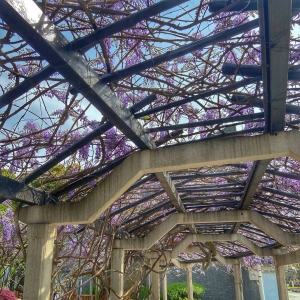 ��^(q��)�W(w��ng)���S�ģ���ɽ���@һ����