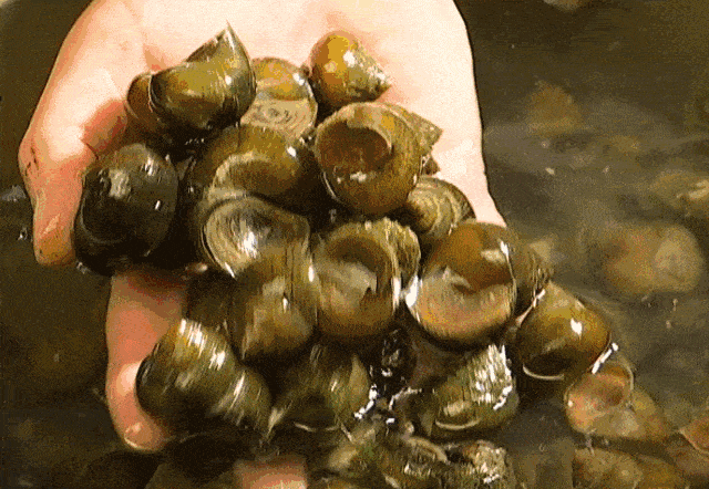 �Ͻ��ӛ�������·�ǲ��Ǹ����r�`��