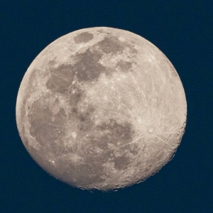 ��^�W���Ĕz������� ���½����xӳ