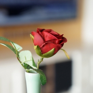 ��^�W�Ѷ��L���L���zӰ �����Aʿ�