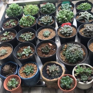 ��^(q��)����ۺ��߷�������ʽ���ӵ���¶