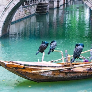 �vʷ�ƾ��˽ܵ��` �W(w��ng)����ͬ����(zh��n)�S��