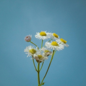 APP����Ȧ�W���S�ģ������С�_��