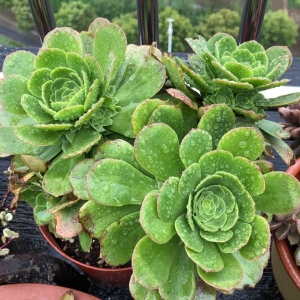 �W�ѷ���������Ҽҵ�¶�B����