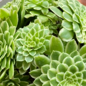 �W�ѕ�����B���⣺ʢ��ˮ��ķ���