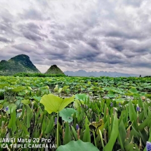 �W���L�����ķ�������ɽ���ߺ�