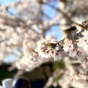 ���ڳ��П��c�������� �����Ąӵ������ǆ᣿