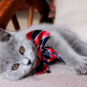 �W�ѷ����Լ�؈�����n�� ���F��Ę�L������Ę