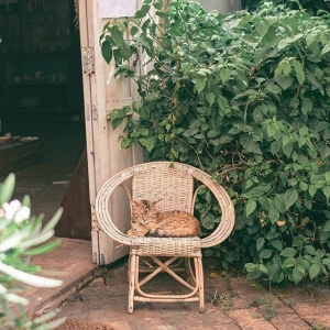 APP�W�����D���������X�̼t�� ��Ҋ��G��