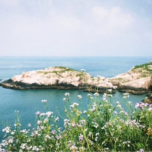 �W������������;�L������ɽ ���B�u