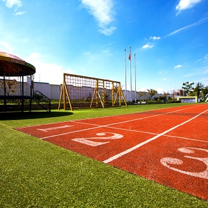 �ÌWУ���ڼ��T�� �y�ֽ���@Щ�ǱPҪ��