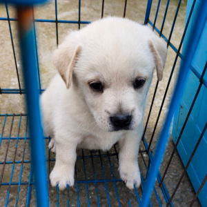 �������I(l��ng)�B(y��ng)��19ֻ�Ȍ� ���㎧�ؼ�~