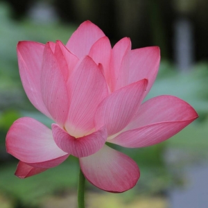 �W����Ʒ����퍡� �����³�����ˮ�f