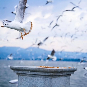 APP���x�DƬ�������������ã��M�����