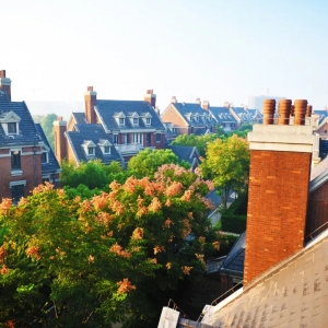 ��ͶƱ���Ѕ^��ƽ��or�����e�� ����ס�ķN��լ��