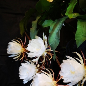 �W�����D�������һ�һ�F��������